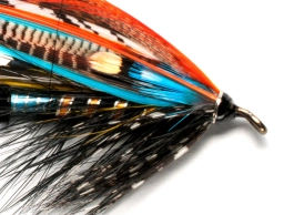 Salmon fly Salmon fly