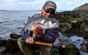 Fish and surroundings Fish and surroundings