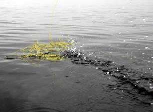 Off the water Off the water