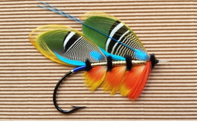 Double Phoebus Double Phoebus