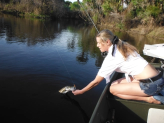 Landing a small snook Landing a small snook