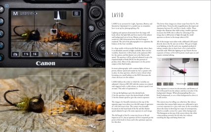 Sample pages from Imaging Imitations Sample pages from Imaging Imitations