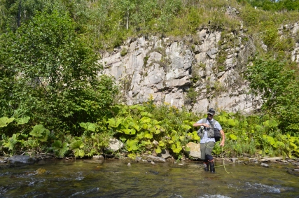 The grasshopper habitat in the background The grasshopper habitat in the background