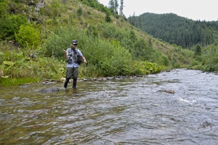 Fighting trout in grasshopper valley Fighting trout in grasshopper valley