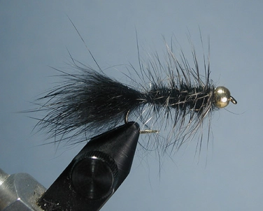 Squirrel Baby Bugger Squirrel Baby Bugger