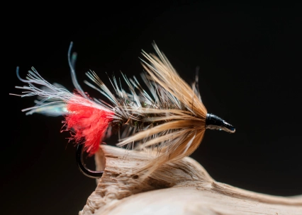 Coastal Red Tag a la Eskol Coastal Red Tag a la Eskol