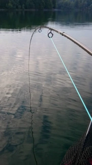 The big bend The big bend