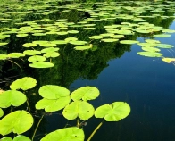 Fishing in New York Gallery Fishing in New York Gallery