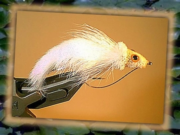 White diver White diver