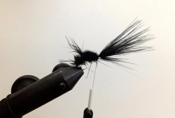 Step 6 - forward Step 6 - forward