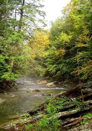 Fishing in New York Gallery Fishing in New York Gallery