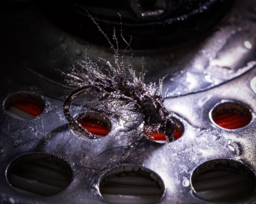 Black on black Black on black