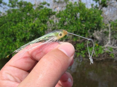 What tarpon and casting can do What tarpon and casting can do