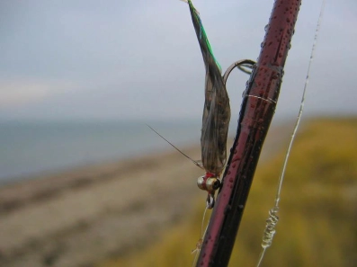 Wet and soggy Wet and soggy