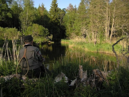 Unknown and undiscovered Unknown and undiscovered