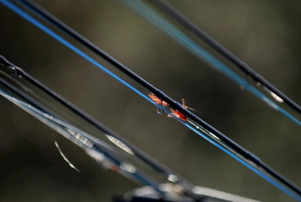 You can leave your fly on You can leave your fly on