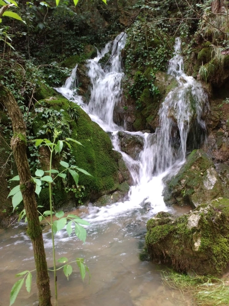 A tributary A tributary