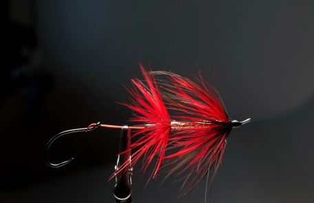 The Idiot Intruder The Idiot Intruder