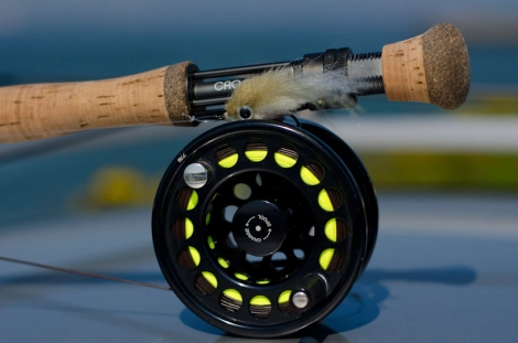 Armed and ready Armed and ready