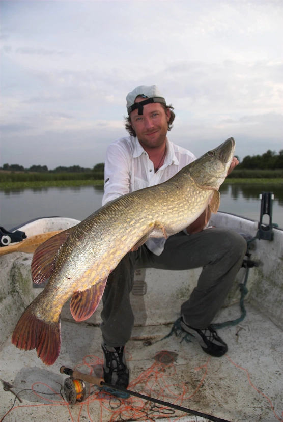 Not quite - image Not quite - image