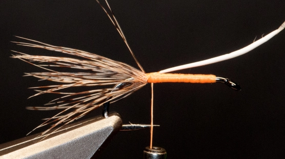 Compressing Compressing