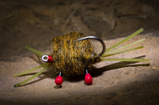 The Canvas Crab The Canvas Crab