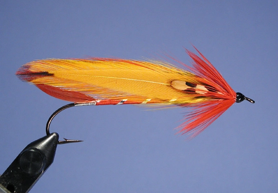 Chief Johnson Chief Johnson