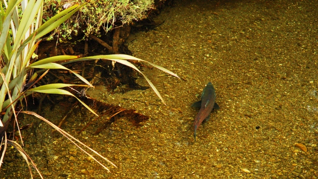 Under a bridge Under a bridge