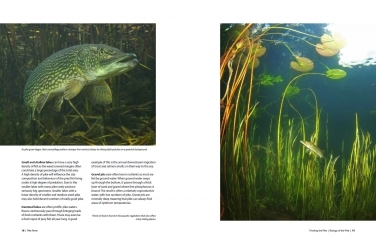 Beautiful images Beautiful images