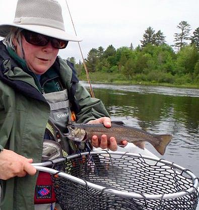 Peggy Brenner Peggy Brenner