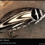 #4 Psychedelic Skunk - Don Ordes #4 Psychedelic Skunk - Don Ordes