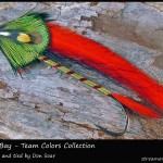 #101 Tampa Bay - Team Colors Collection - Don Soar #101 Tampa Bay - Team Colors Collection - Don Soar