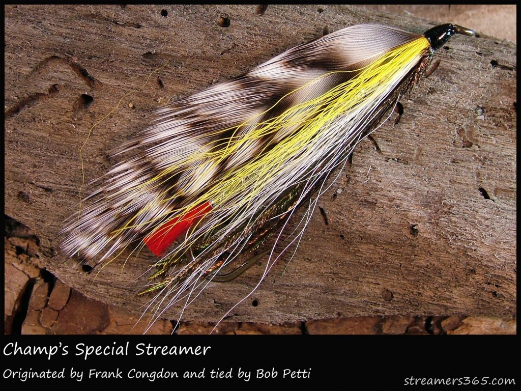 #142 Champ's Special Streamer - Bob Petti #142 Champ's Special Streamer - Bob Petti