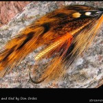 #148 Ginger - Don Ordes #148 Ginger - Don Ordes