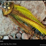 #182 Green Dace - Don Ordes #182 Green Dace - Don Ordes