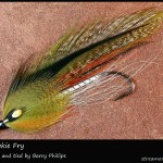 #270 BP Brookie Trout Fry - Barry Phillips #270 BP Brookie Trout Fry - Barry Phillips