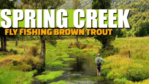 Video thumb for Two Spring Creeks on one Incredible Afternoon