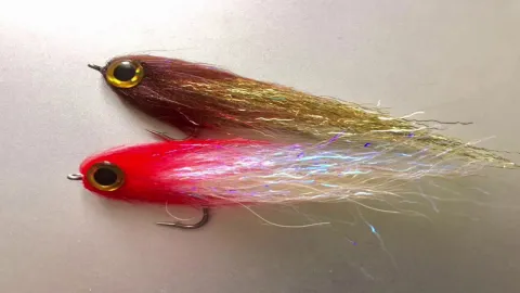 Video thumb for Quick Minnow