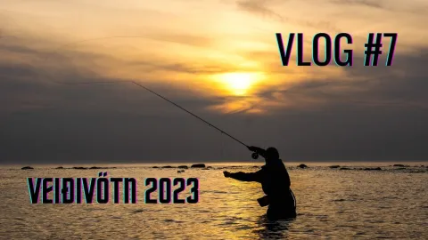 Video thumb for Fly fishing V-Log 7 Veiðivötn 2023