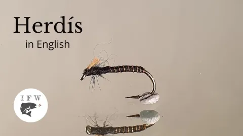 Video thumb for Herdís