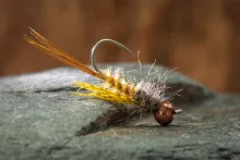 Masked Mayfly