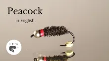 Video thumb for Peacock