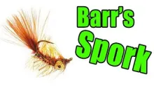 Video thumb for Barr's Spork Carp Fly