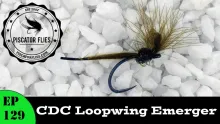 Video thumb for CDC Loop Wing Emerger