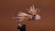 Video thumb for BPS Spent Caddis