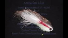Video thumb for The Bloodied Baitfish