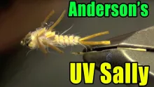 Video thumb for Anderson's UV Sally Stonefly Nymph