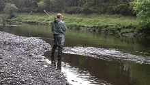 Video thumb for Salmon on the Fly