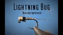 Video thumb for Lightning Bug (new and improved!)