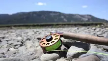 Video thumb for Fly Fishing Yellowstone National Park